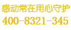 bernini保险柜